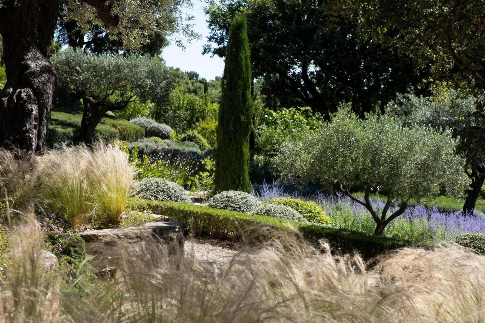 Les Jardins de Zarga - Donnez vie au jardin dont vous avez toujours rêvé