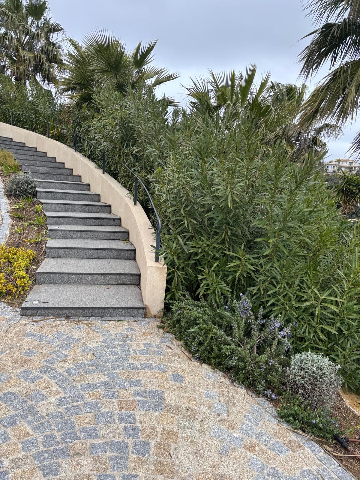 Terrasse végétalisée - Cogolin