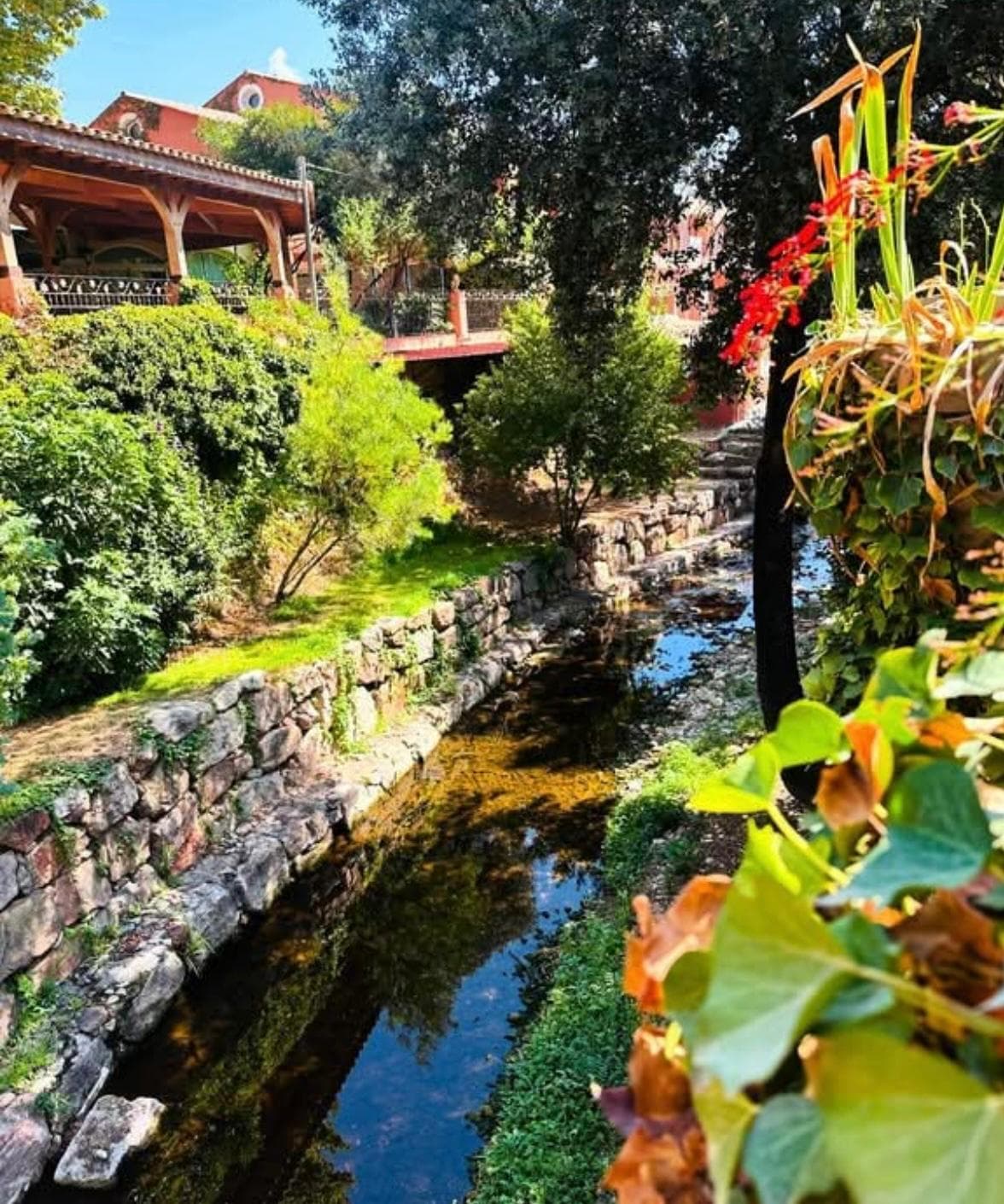 Aménagement paysager - Sainte-Maxime