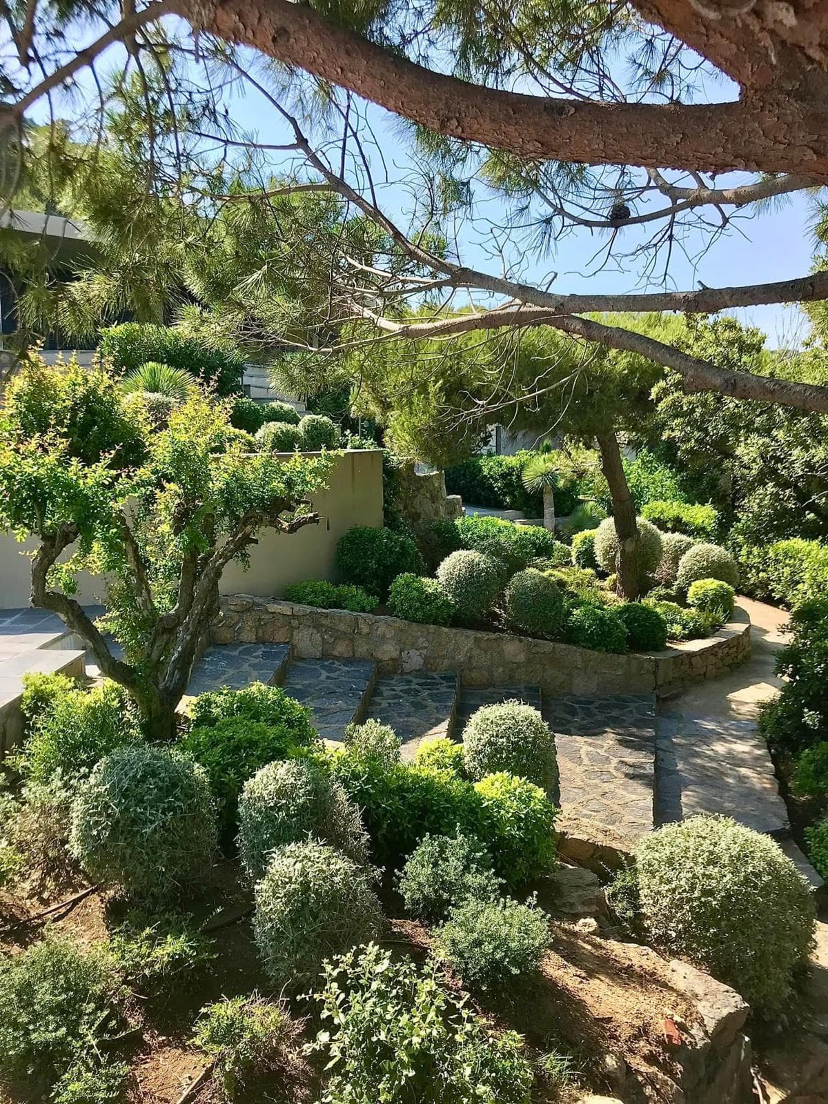 Terrasse et plantations - Grimaud