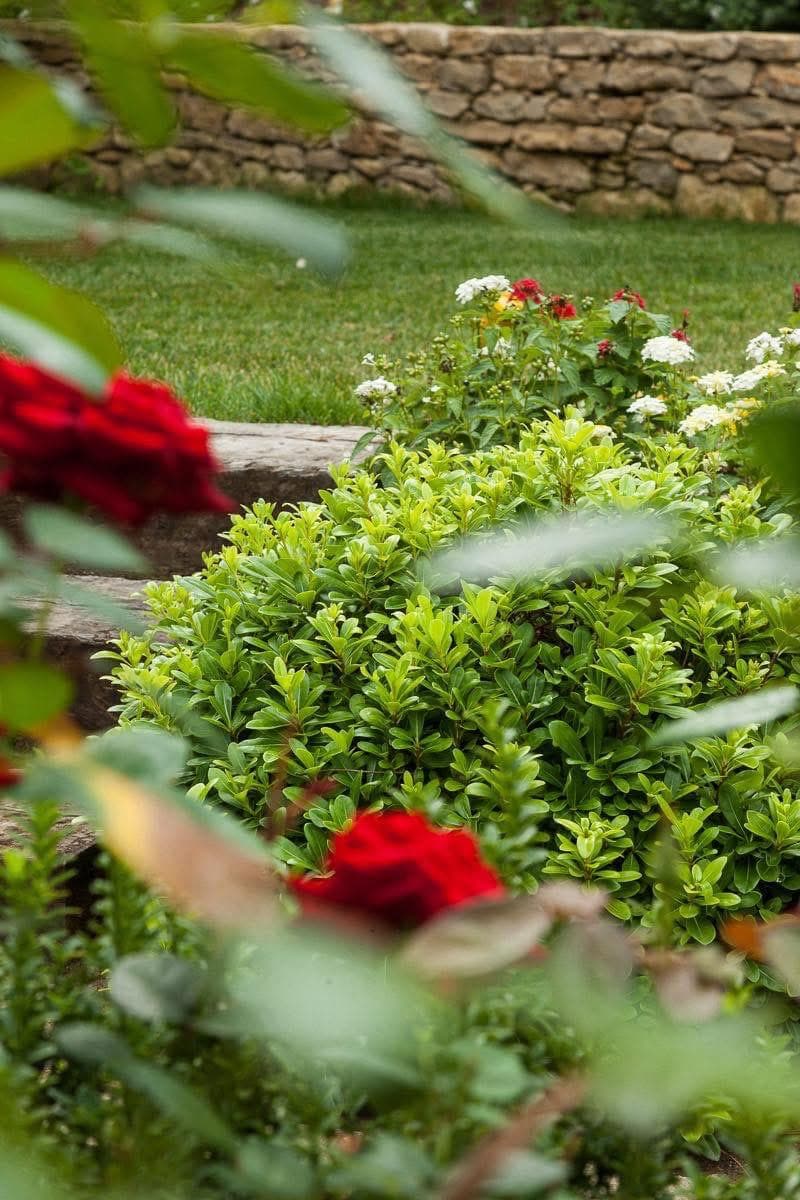 Jardin tropical - Le Lavandou