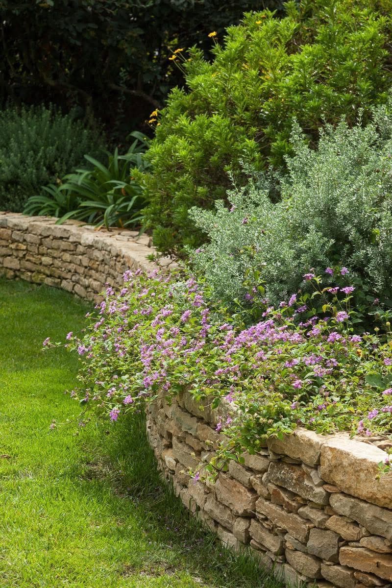 Jardin avec muret en pierre et fleurs - Les Jardins de Zarga